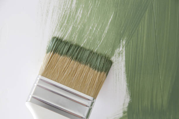 Reliable Summerset, SD Mold Removal Solutions