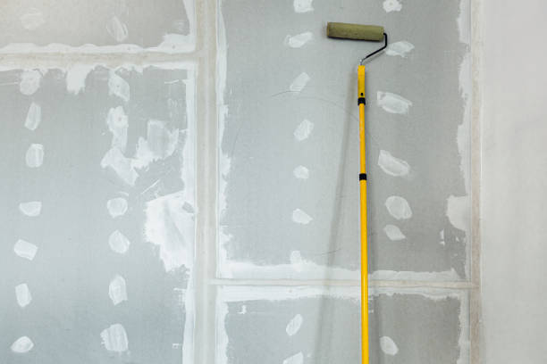 Best Biohazard Mold Removal  in Summerset, SD