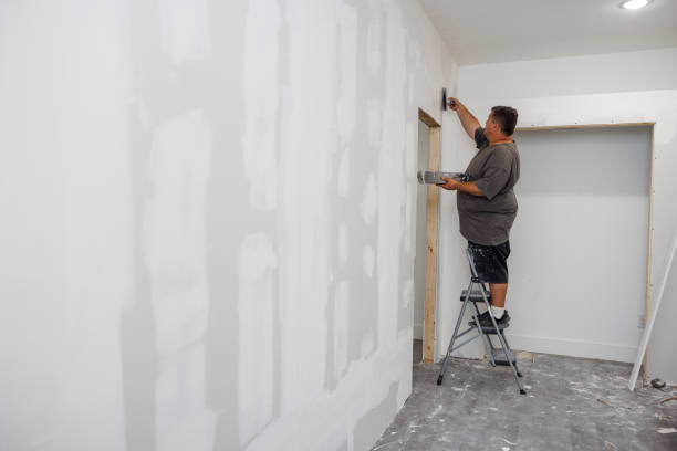 Best Crawl Space Mold Remediation  in Summerset, SD