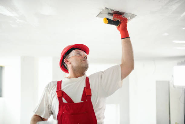 Best Forensic Mold Investigation  in Summerset, SD