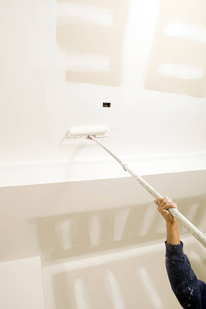  Summerset, SD Mold Removal Pros